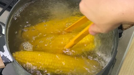 Corn cobs simmer in bubbling water, wooden tongs gently hold bright yellow corn, evokes homey kitchen vibes and traditional summer cookouts