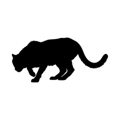 A silhouette of large wild cheetah or leopard in hunting or stalking pose.