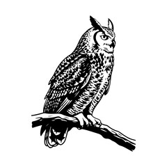 A silhouette of great horned owl perched on branch black and white engraving illustration.
