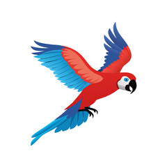 Obraz premium Macaw Flat Icon