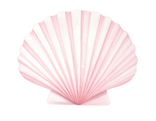 Delicate, pale pink scallop shell, radiating lines, detailed texture, black background