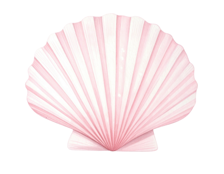 Delicate, pale pink scallop shell, radiating lines, detailed texture, black background