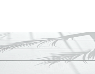 Light and shadow contrast on white horizontal wooden planks with palm leaf silhouettes