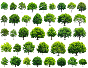 A diverse collection of isolated, lush green tree cutouts against a stark black backdrop