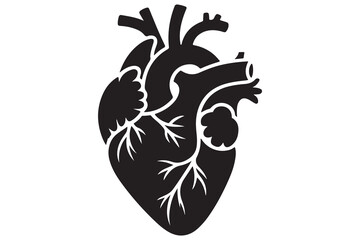 Human heart silhouette icon illustration in black color isolated on white background
