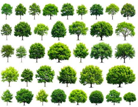 A diverse collection of isolated, lush green tree cutouts against a stark black backdrop