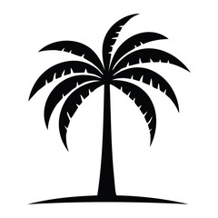 palm tree silhouette