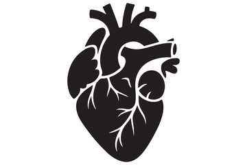 Human heart silhouette icon illustration in black color isolated on white background
