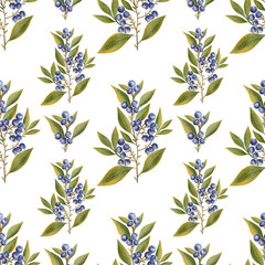Hand-drawn print. Botanical seamless print with blueberries on a white background
