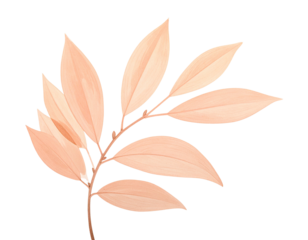 A pastel sprig illustration with several elongated leaves and a dark background