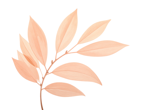 A pastel sprig illustration with several elongated leaves and a dark background