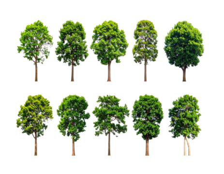A collection of ten vibrant green trees, each with a unique shape, against a black background
