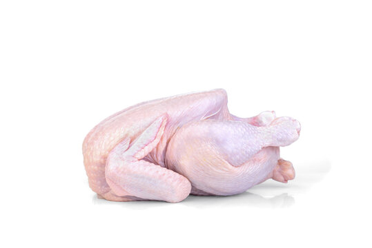 Whole chicken broiler isolated on white background.