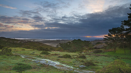 Curro de Forgoselo: mountains, extensive livestock farming, nature hikes, walks among cows and horses, enjoying the views. Once a year, the horses gather to have their manes trimmed.