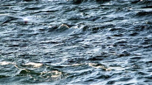 wind-blown sea waves in the dusk