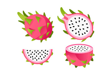 Illustration of four vibrant dragon fruit pieces, whole and sliced, against a white background.