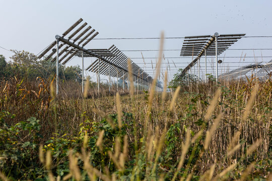 Agrivoltaics