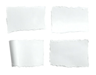 Four isolated torn paper pieces with ragged edges on a solid black background