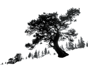 A stark, monochrome illustration of a large, twisted tree silhouette with small trees