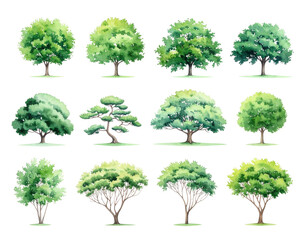 Fototapeta premium Watercolor-style illustrations of various trees, showcasing different shapes and foliage