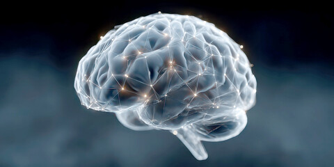 Digital Visualization of Human Brain Connectivity and Neural Networks