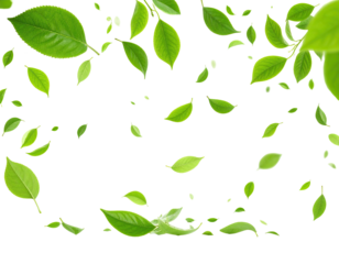 Scattered, bright green leaves float against a stark, dark black background