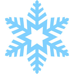 Winter Snowflake Element