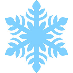 Winter Snowflake Element