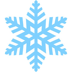 Winter Snowflake Element
