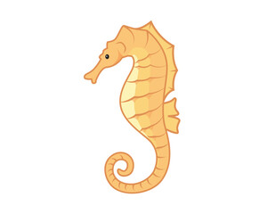 Beautiful Seahorse Sea Animals Illustration