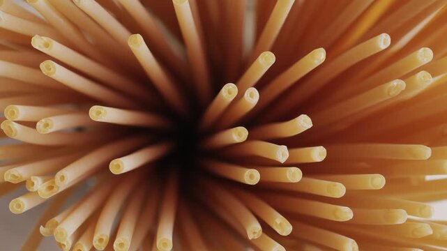 Italian pasta Bucatini or perciatelli thick spaghetti like pasta with a hole running through the center 
