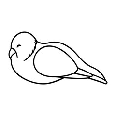  thin contour art of a lying budgerigar resting
