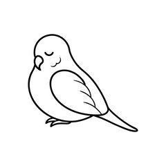 artistic one line drawing resting budgerigar