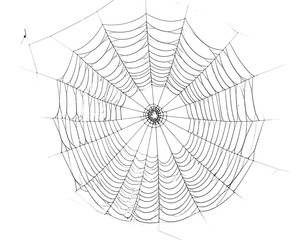 Fototapeta premium A realistic depiction of a spider's intricate web, designed with delicate, radial threads