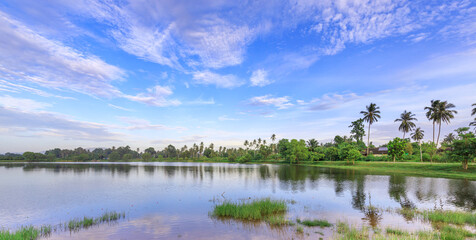 Calm lake with a few palm trees in the background