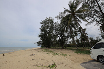 White van is parked on a beach near a palm tree © Sergei