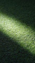 Shadow leaf turf texture green sunlight pattern lawn calm mood