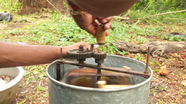 An Indian beekeeper without protective gear harvests honey from a hive frame, reflecting the art of sustainable beekeeping and natural honey production in the countryside.