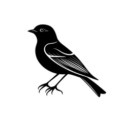 Obraz premium Black bird perched gracefully on a branch against a clean white background in a minimalist design style