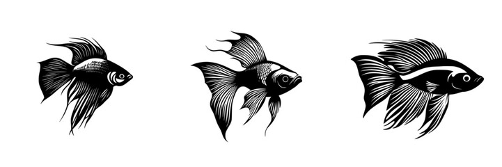 Fototapeta premium Black and white artistic representation of different types of goldfish swimming gracefully under minimalistic style
