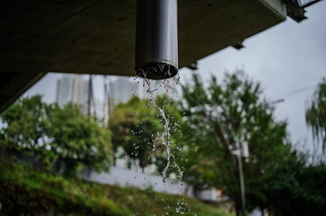 배수구로 떨어지는 빗물 