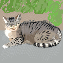Stylized portrait of a stray cat. Painting with a cat. Stray cat.
