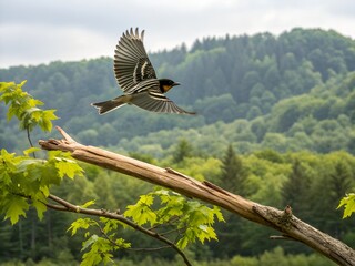 Blackpoll Warbler Flying Over Branch Realistic Nature