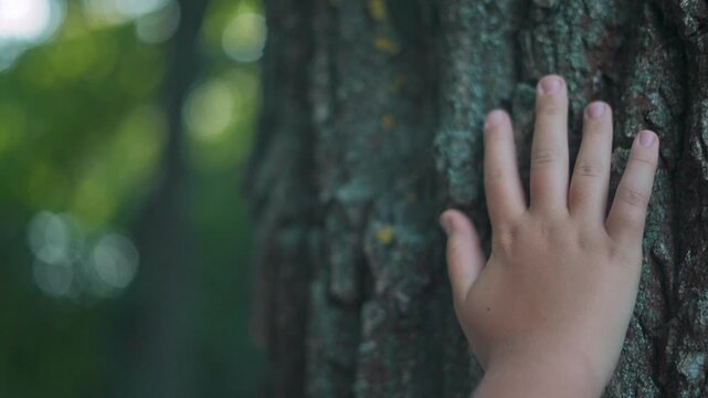 Child hand against bark texture on tree trunk. Forest in background. Wood under skin. Nature detail in focus. Bark touched gently. Hand explores tree. Texture shown clearly. Child connects with wood.