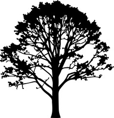 Obraz premium Vector silhouette of a tree, symbolizing nature life