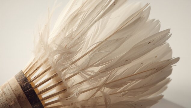 Detailed View of the Fragile Feather Pattern on an Old Badminton Birdie