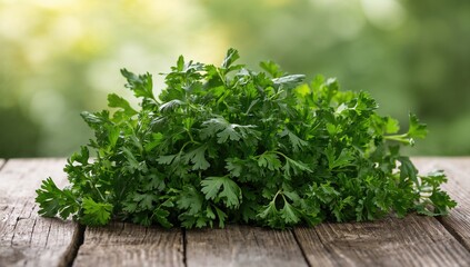Fototapeta premium Bundle of fresh fragrant parsley