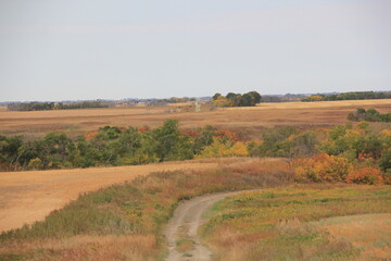 Fototapeta premium Autumn Scenes in the Saskatchewan Prairies