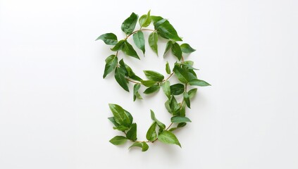 Number nine formed by green leaves against a white backdrop