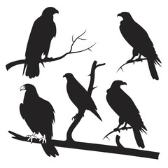 Collection of five black silhouette raptor birds perched on tree branches against a white background